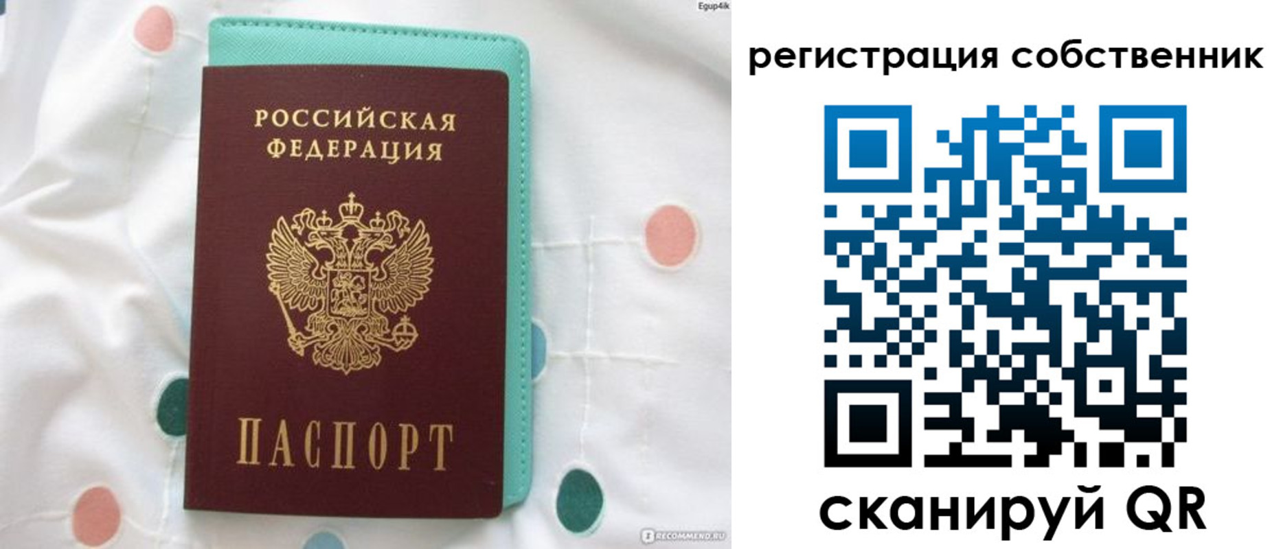 прописка для школы в Судогде